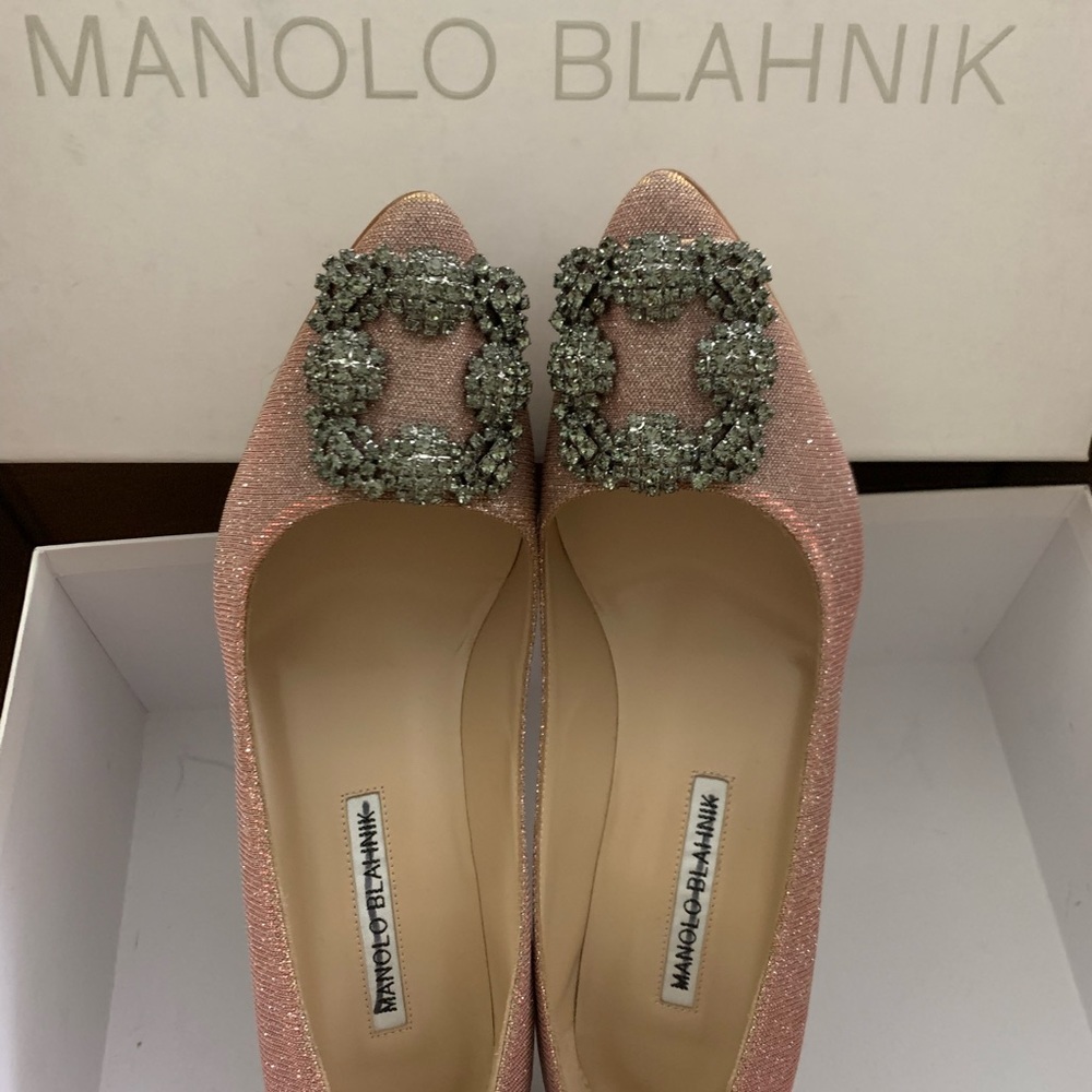 Brand New Manolo Blahnik Hangisi